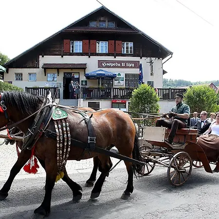 Hospoda U Lipy * Ostrov (Karlovy Vary)